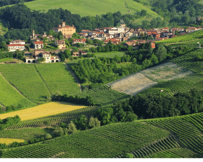 The best places to visit in the Piedmont region